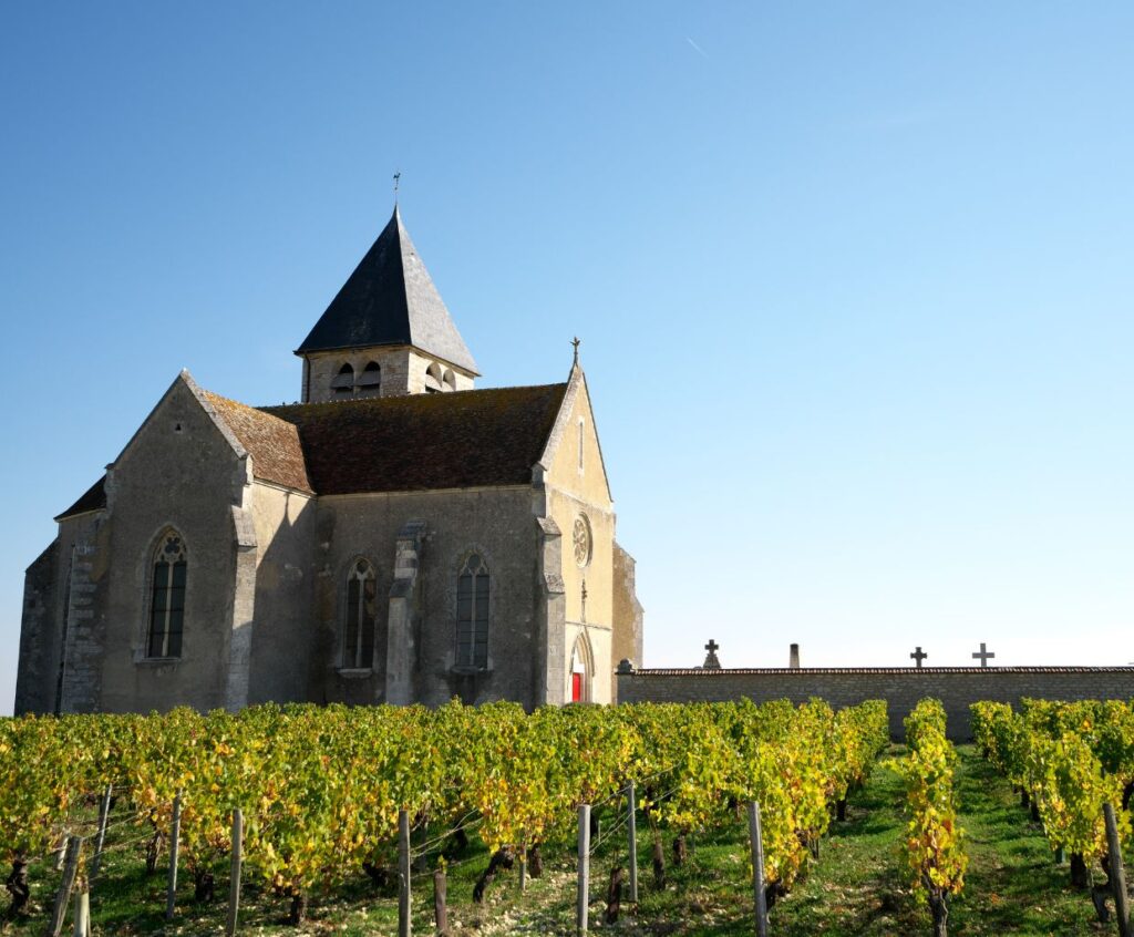 Discovering the Delights of Chablis