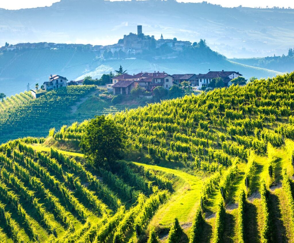 Discovering the Enchanting Wine Regions of Italy: A Guide to Italy's Terroirs