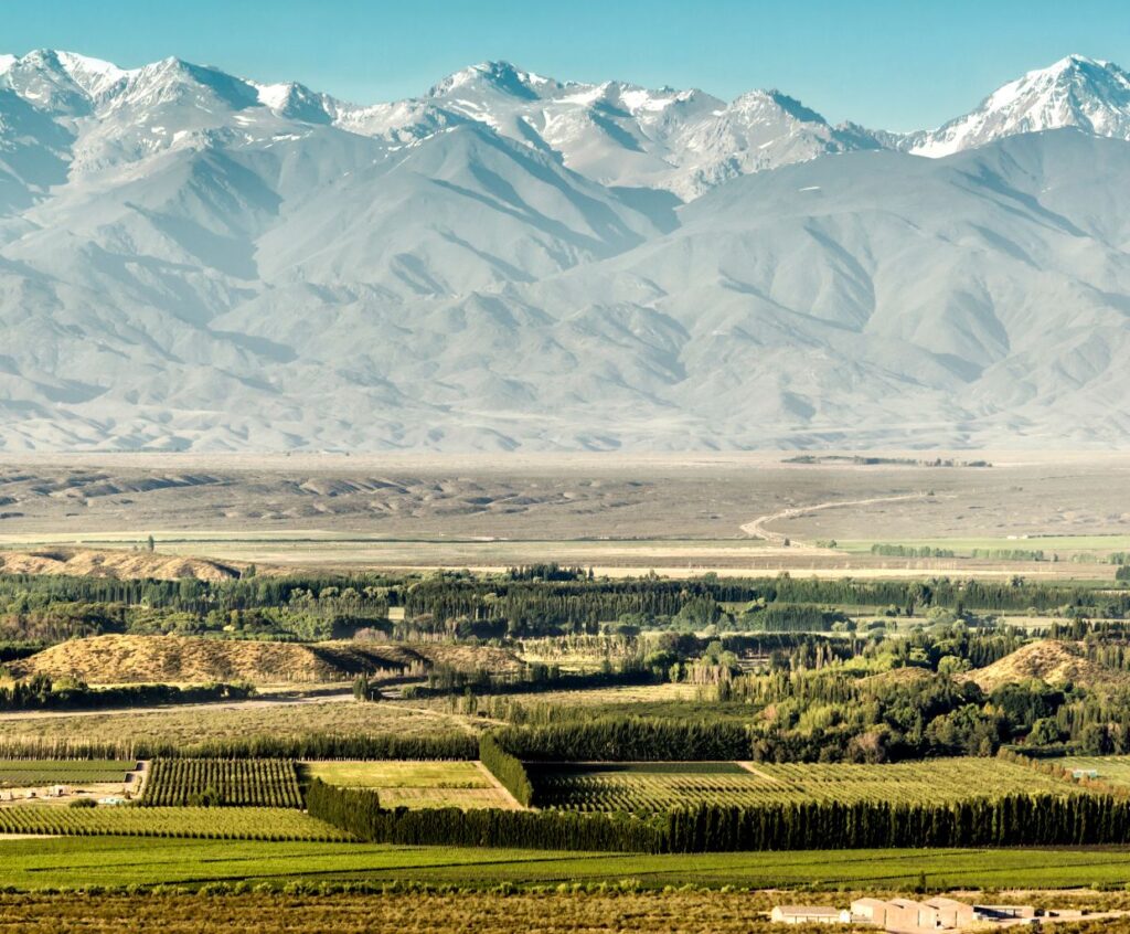 Exploring the Wine Elegance of Uco Valley, Argentina