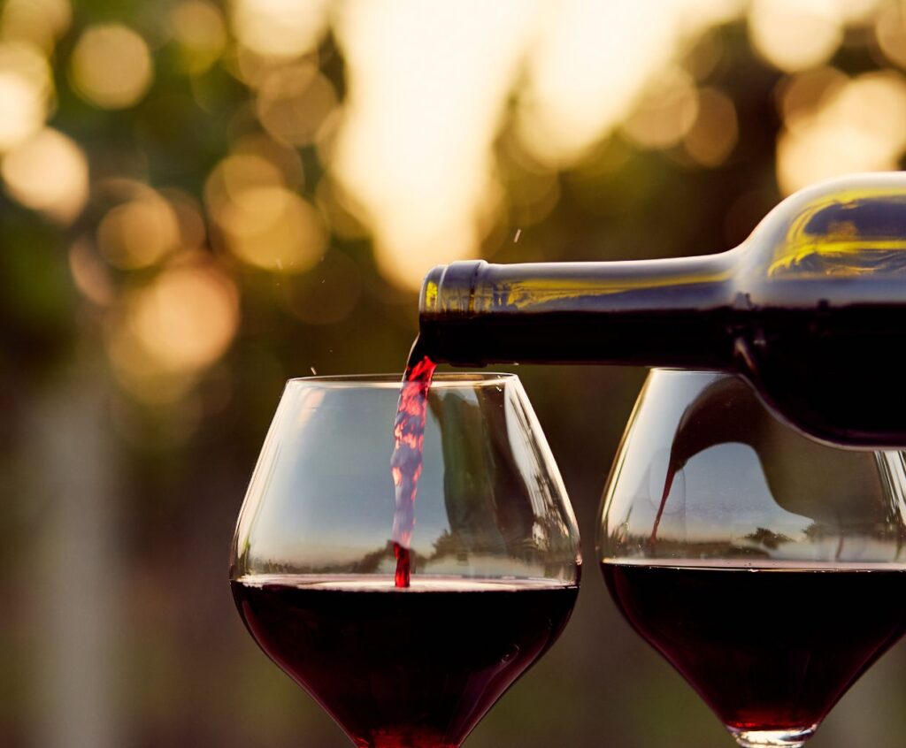 Merlot Unveiled: Everything You Need to Know