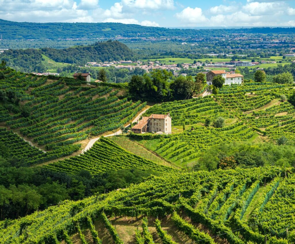 Most Popular Prosecco - Prosecco Hills