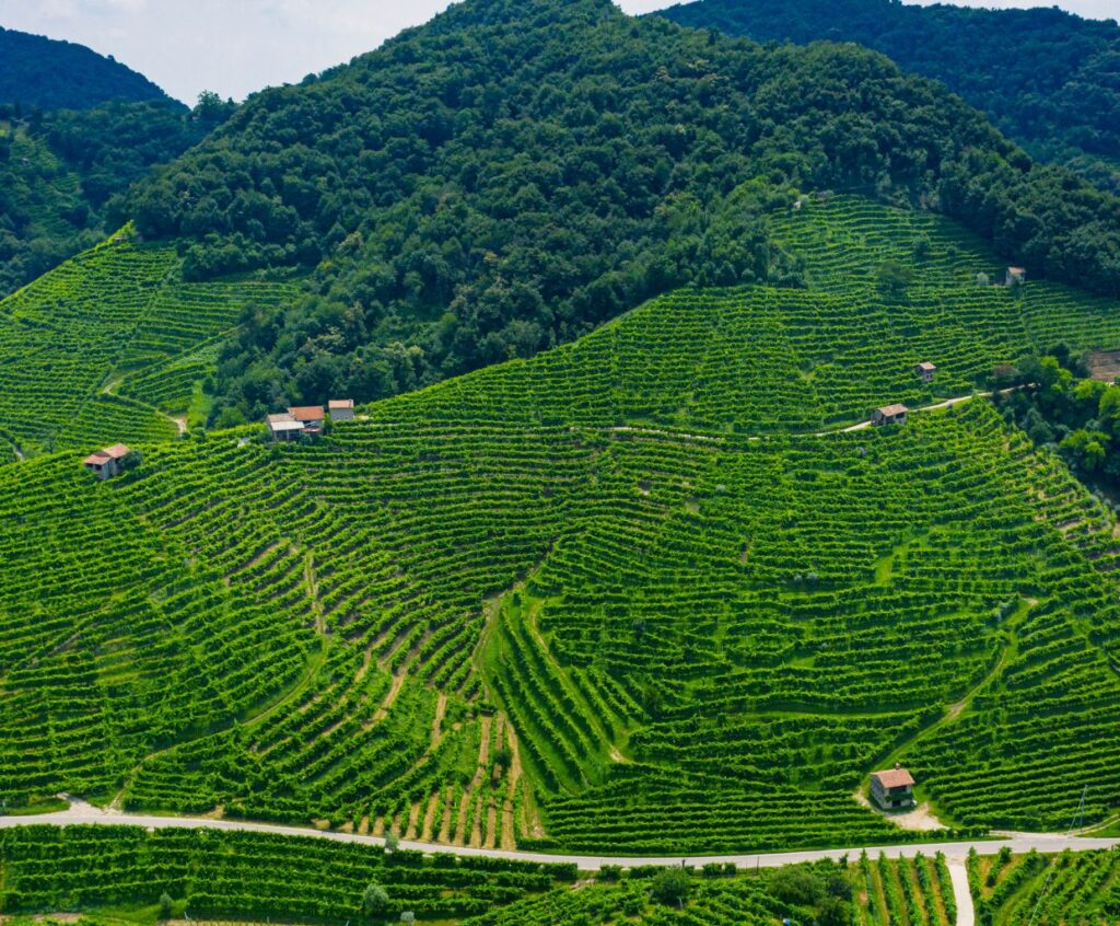 Prosecco Unveiled: Exploring Its Origins and the Enchanting Prosecco Road in Italy