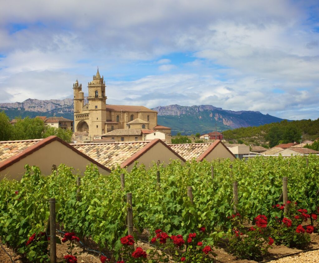 Rioja: Exploring Spain's Distinguished Wine Region