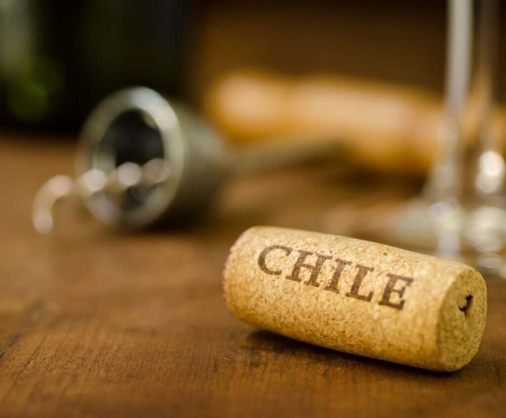 Unveiling the Art of Winemaking in Chile: A Journey Through Tradition and Innovation