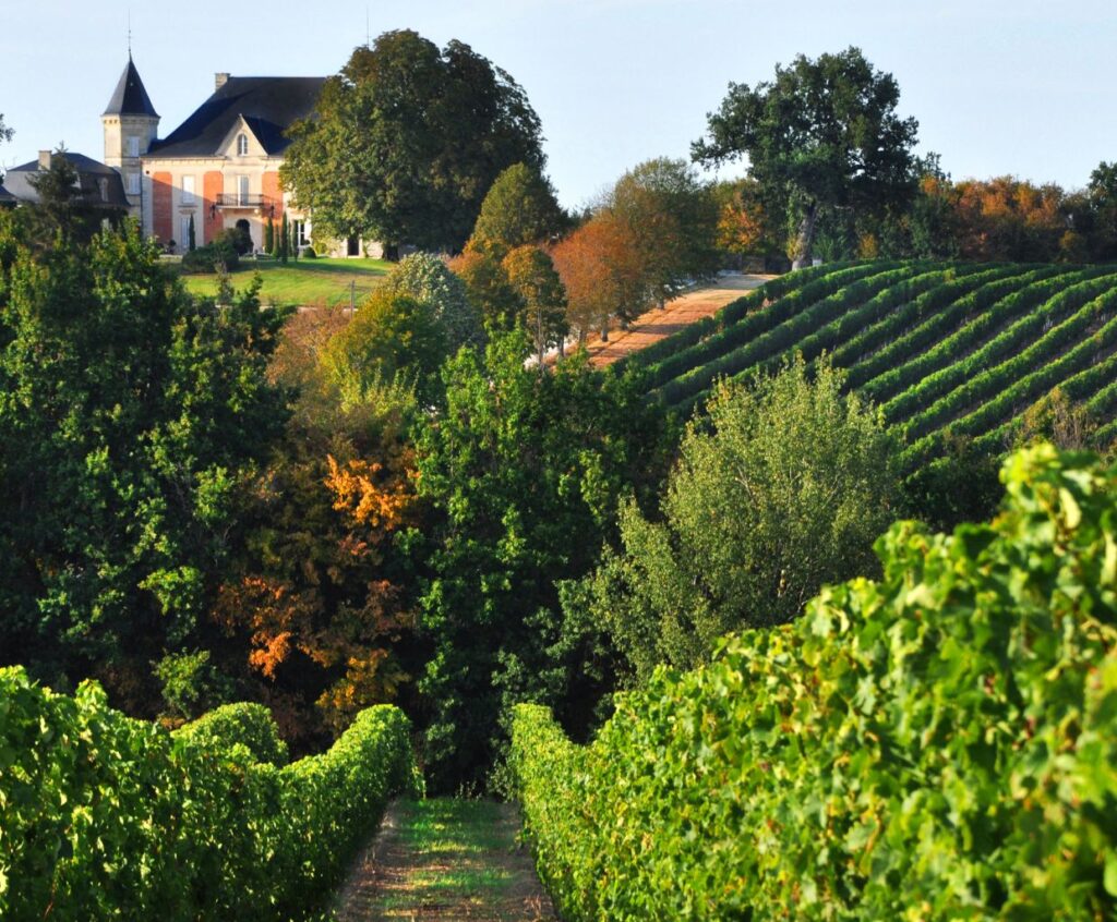 Unveiling the Best Wine Regions of France
