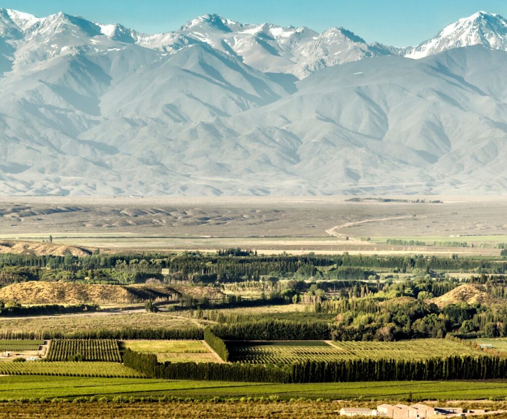 Welcome to the Wonderful World of Winemaking in Argentina!