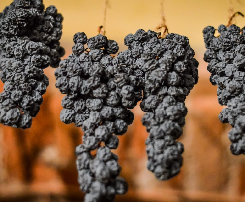 What is Amarone Wine - drying grapes