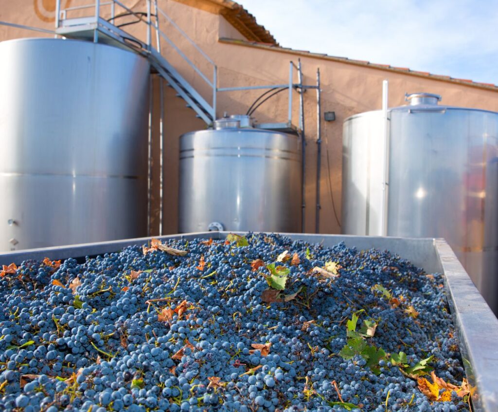 Winemaking Artistry: The Magic of Blending Merlot and Cabernet Sauvignon