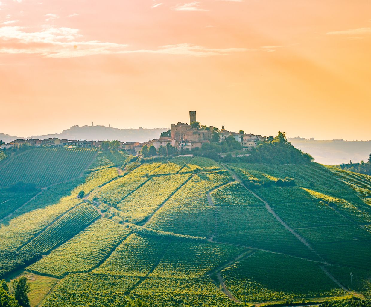 Barolo Wine Unveiled Discovering the Treasures of Piedmont