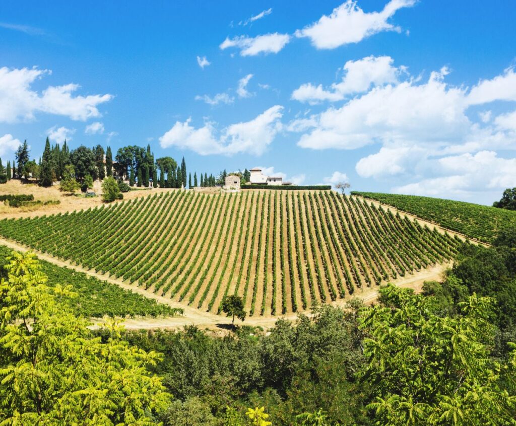 Discovering Chianti - The Richness of Italy's Iconic Red Wine