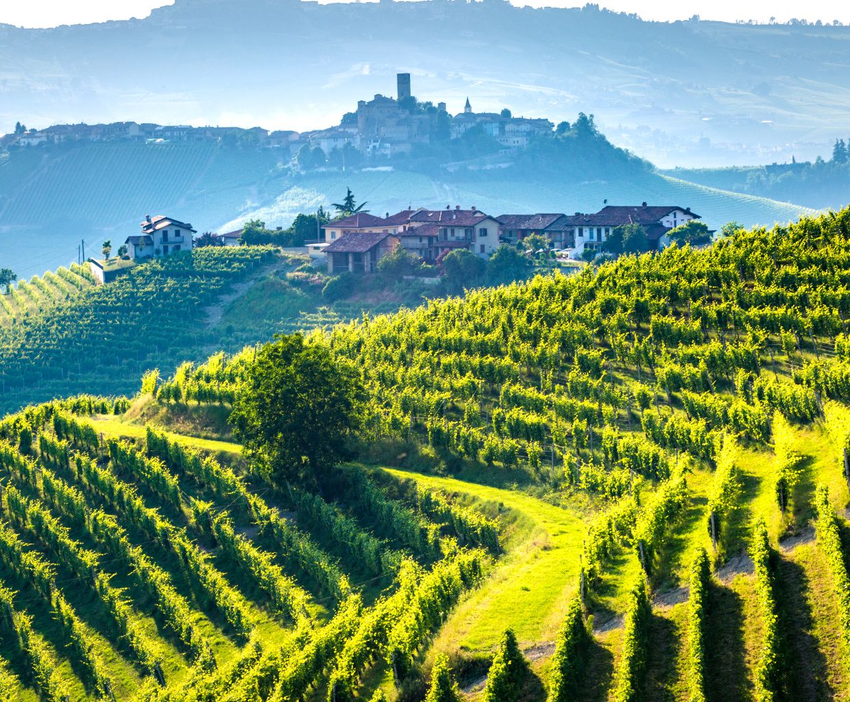 discovering-the-enchanting-wine-regions-of-italy-a-guide-to-italy-s