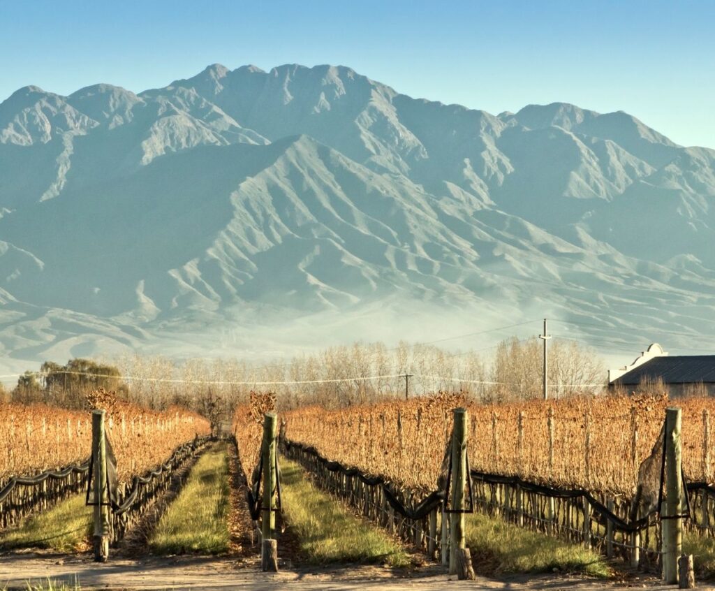 Exploring the Finest Origins of Malbec Wine: Where to Find the Best