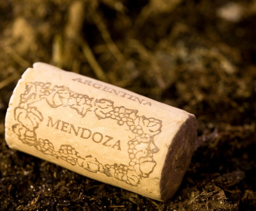 Mendoza, Argentina: The Enchanting Land of Malbec and Vineyards