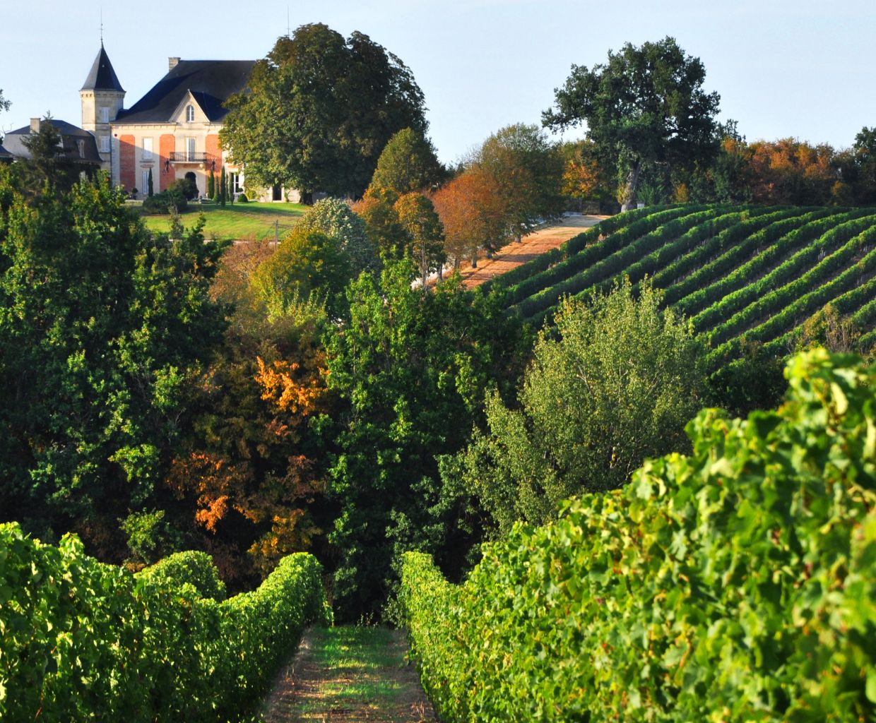 Unveiling the Best Wine Regions of France: A Journey through French Terroirs