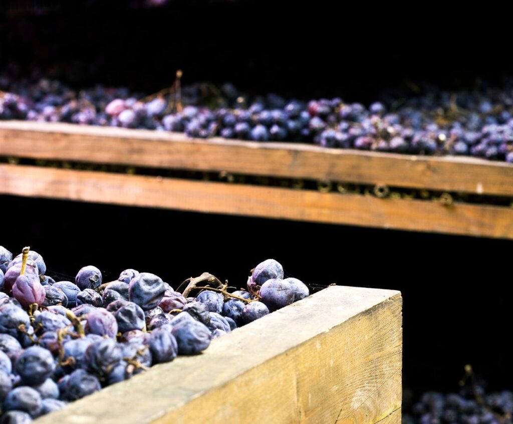 What is Amarone Wine and How is it Made?